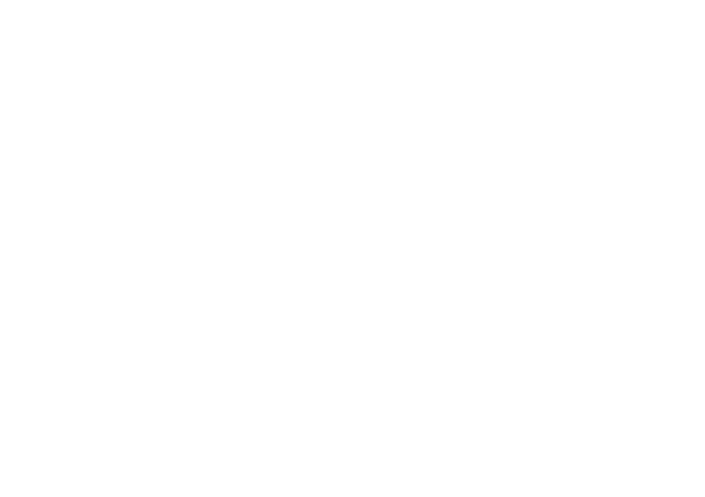 Vincent Coche